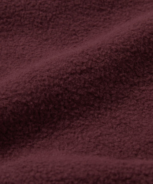 Faded THAT 2010 Hoodie Burgundy