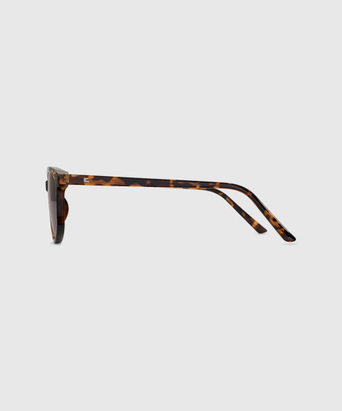NADIA leopard