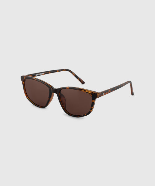 NADIA leopard