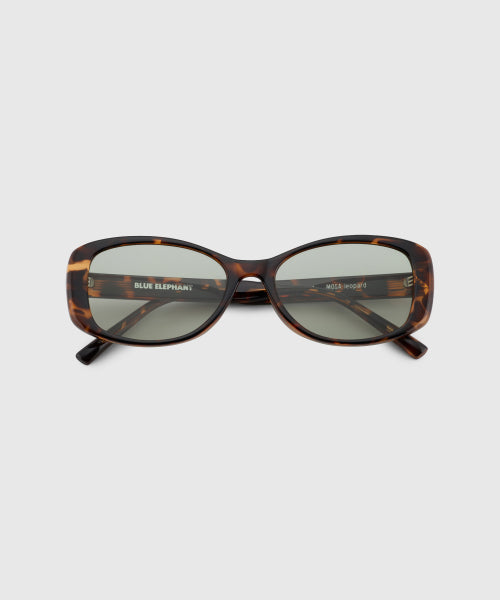 MOSA leopard