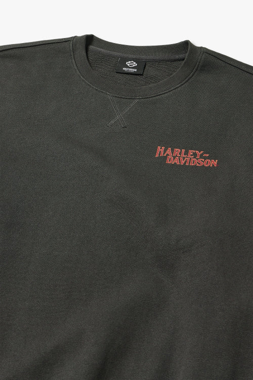 Harley Davidson Eagle Sweatshirt T-shirt _Charcoal HH15309331