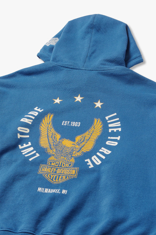 Harley Davidson Eagle Hoodie_Blue HH15309332