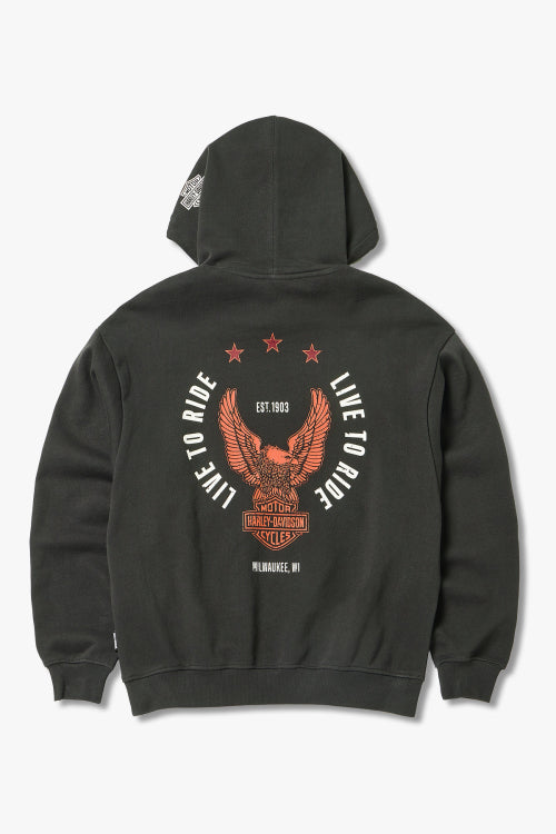 Harley-Davidson Eagle Hoodie_Charcoal HH15309332