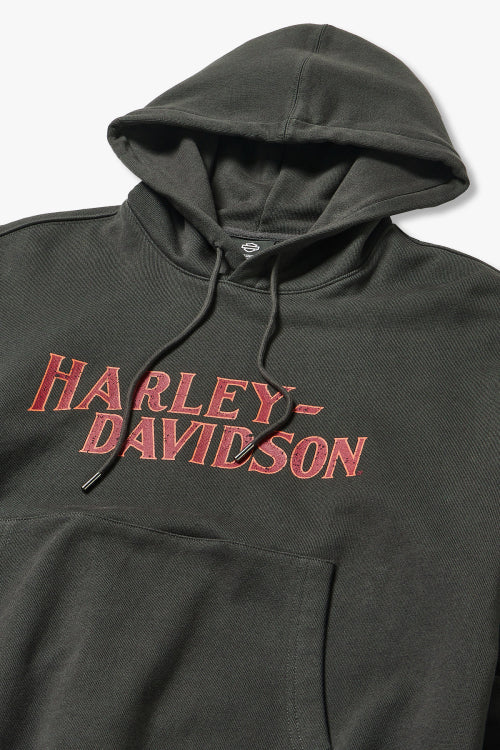 Harley-Davidson Eagle Hoodie_Charcoal HH15309332
