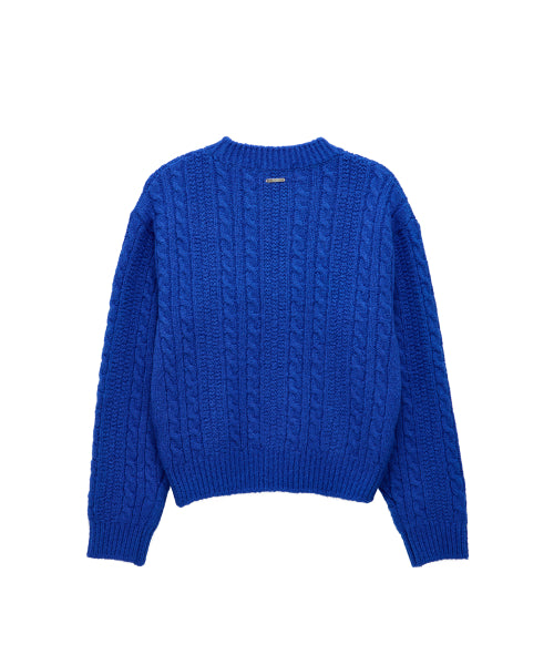 Wave NT (blue)
